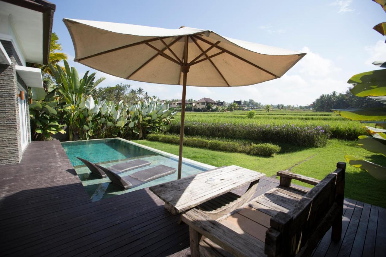 The Samara & Restaurant Guest house