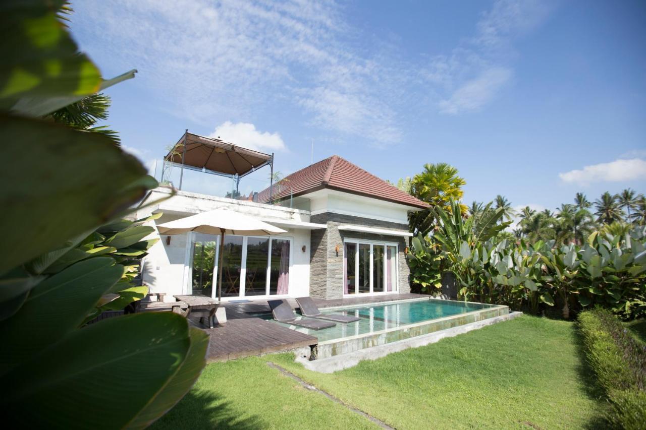 Guest house The Samara & Restaurant 4*
