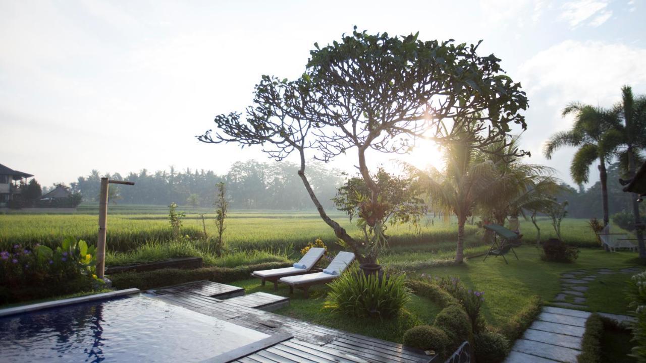 The Samara & Restaurant Guest house 4*